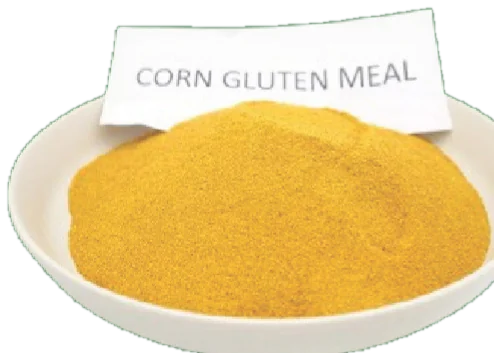 Plate of OneRoot corn gluten meal
