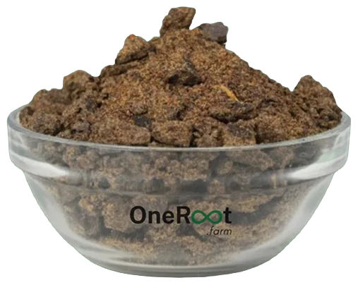 Bowl of OneRoot rapeseed meal